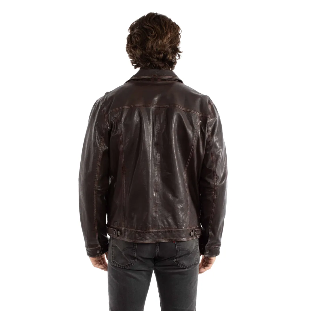 Men's Leather Scully Jean Jacket in Brown 1055-192
