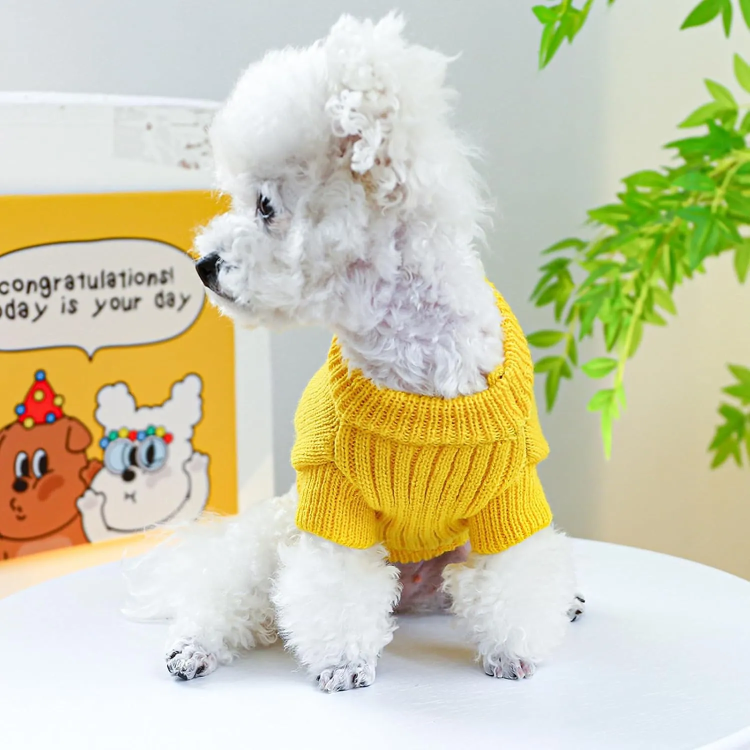 Small Dog Sweaters Cute Dinosaur Pullover Sweater Winter Comfortable Soft Clothes for Small Dogs Boy Girl Cat Cold Weather Warm Knitwear Sweatshirt Christmas Pet Puppy Kitten Shirts